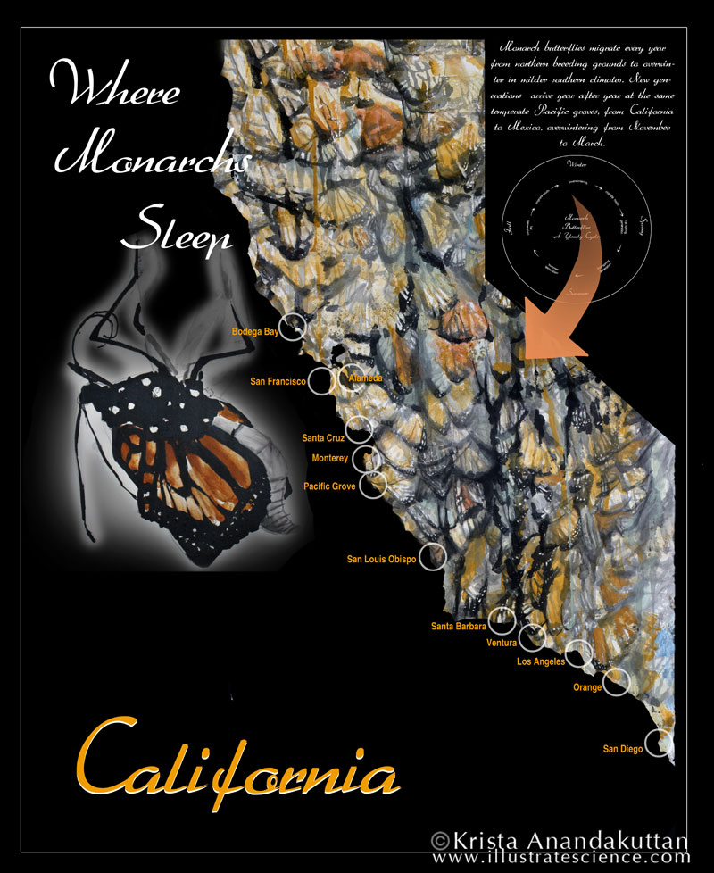 Map: Monarchs in CA