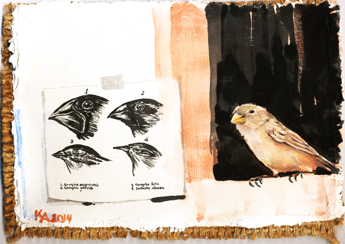 Among Darwin’s Finches, “I am No. 3”